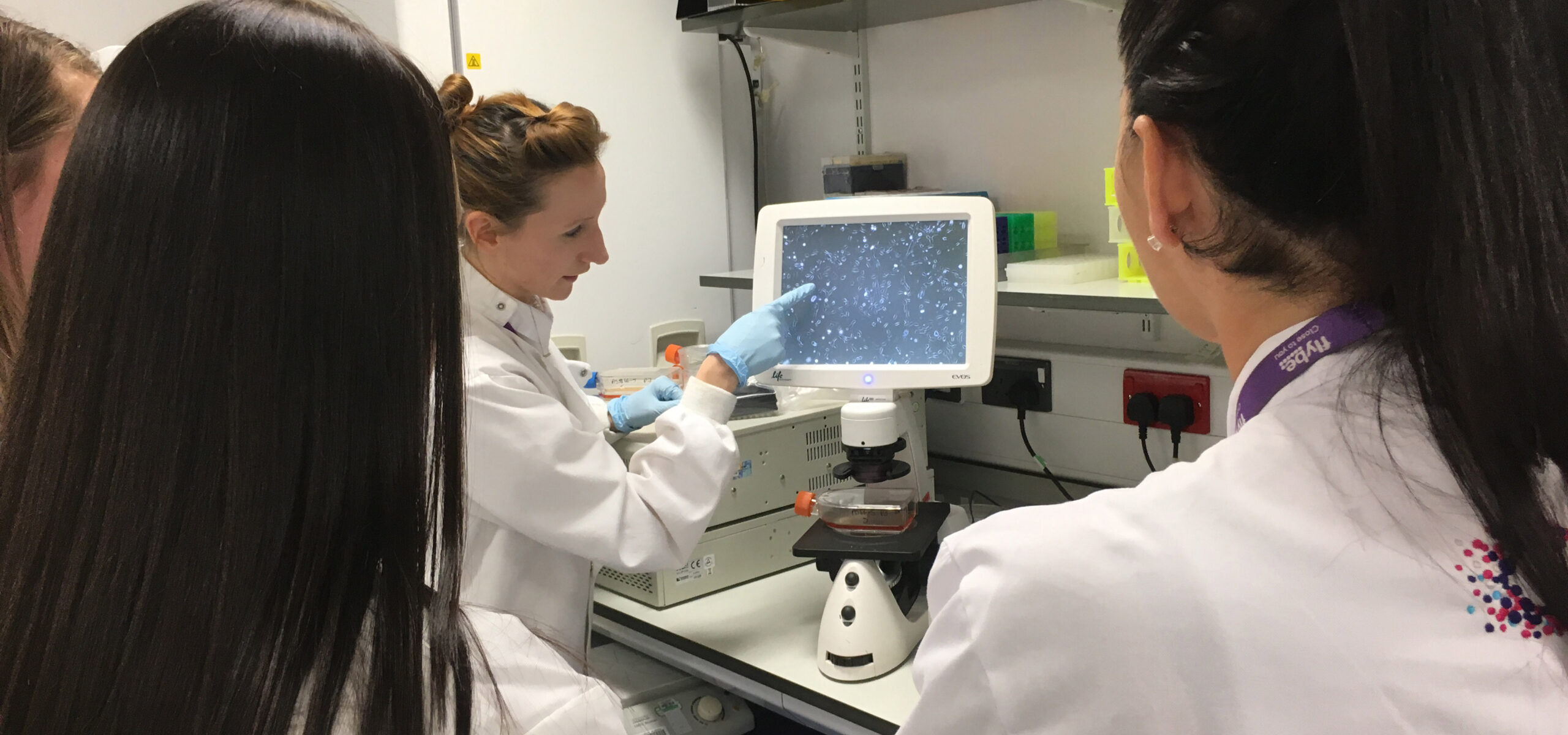 cancer research phd studentships