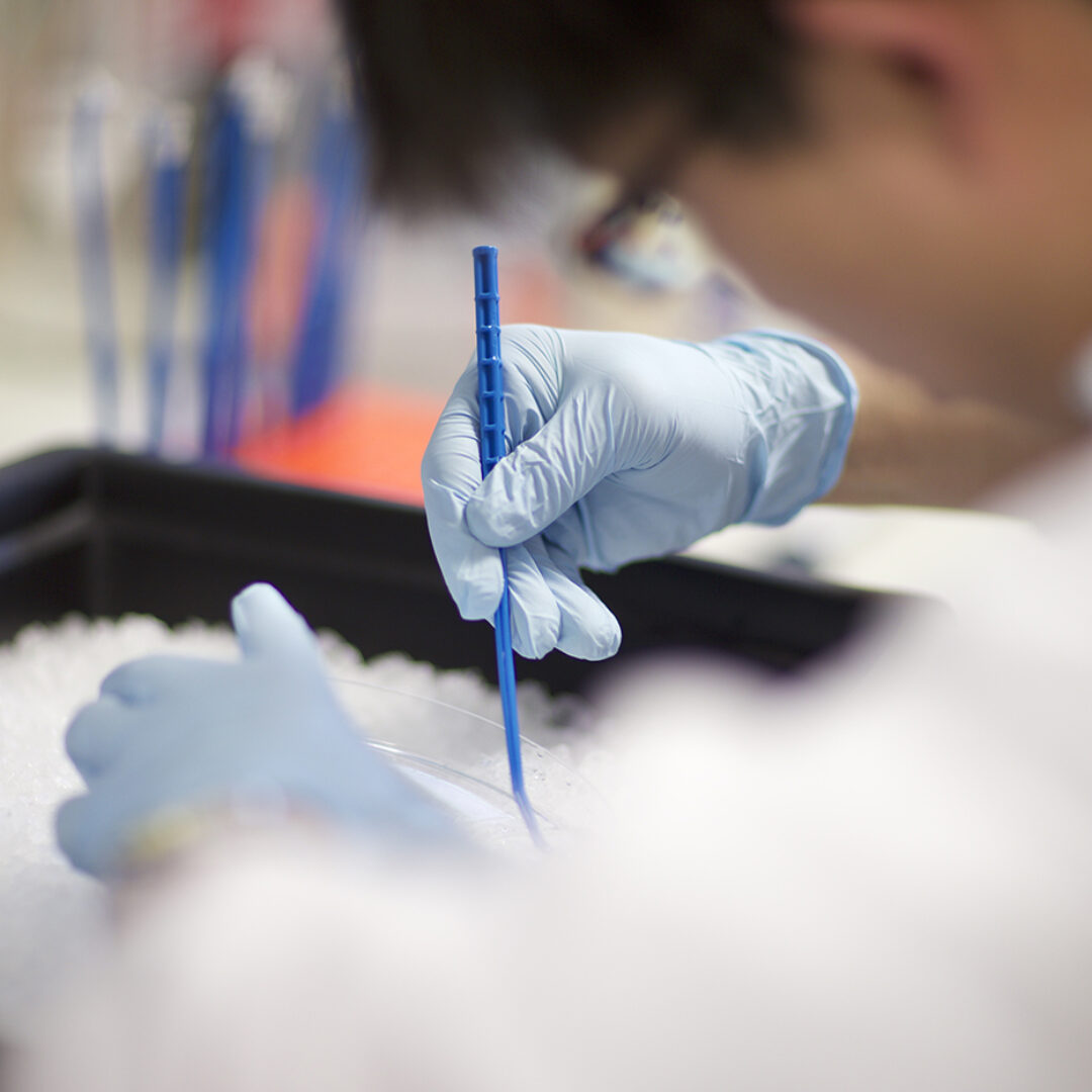 Scientist working in laboratory