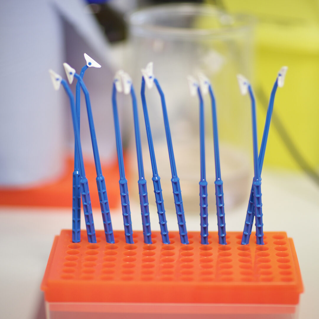 lab experiment analysing cells