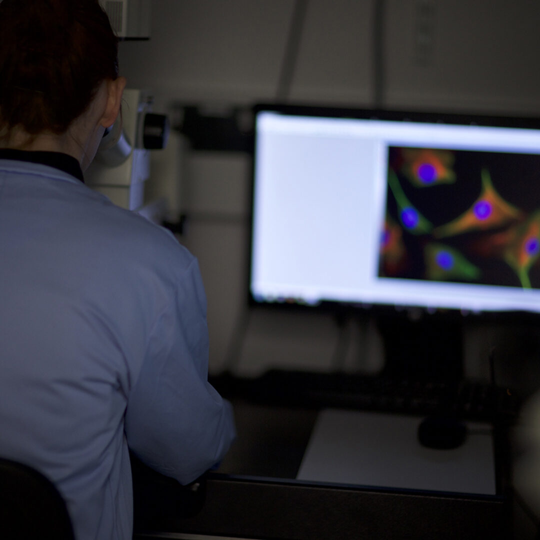 Imaging cells in OCRB Laboratory