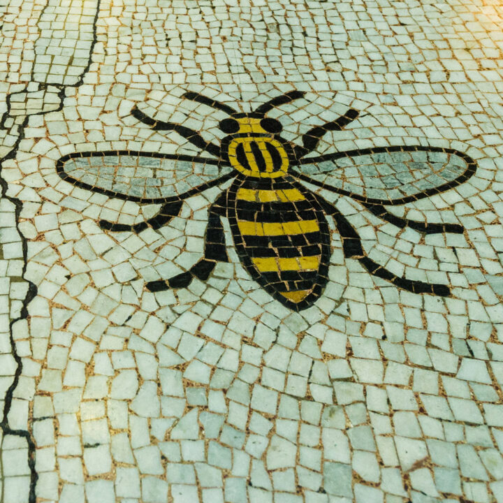 Manchester Bee