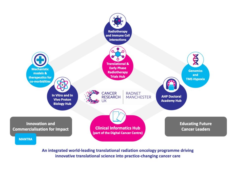 Research work packages and cross-cutting research hubs of the CRUK RadNet Manchester. At the core of RadNet are four research hubs: Proton Biology, clinical informatics, translational and early phase trials, AHP Doctoral Academy. Supporting this are three work packages: Co-morbidity research, radiotherapy and immuno-oncology cell interactions and genetics and the tumour microenvironment and hypoxia.