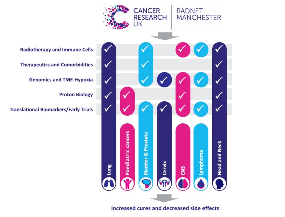 A matrix of the research work packages and hubs and the disease sites being activated in the theme. Radiotherapy and immune cells - Lung, Bladder & Prostate, CNS, Lymphoma, Head and Neck. Therapeutics and comorbidities - Lung, Bladder & Prostate, Head and Neck. Genomics and TME-Hypoxia - - Lung, Bladder & Prostate, Cervix, CNS, Lymphoma, Head and Neck. Proton Biology -- Lung, Paediatric cancer, CNS, Head and Neck. Translational Biomarkers and Early Trials - - Lung, Paediatric cancer, Bladder & Prostate, Cervix, CNS, Lymphoma, Head and Neck.