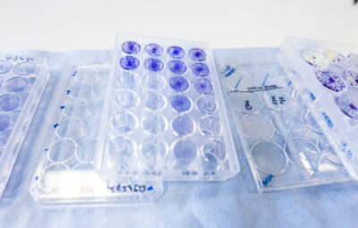Cancer Research UK Manchester Centre - News
