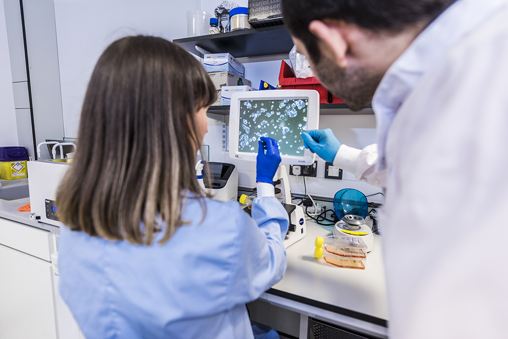 Scientists looking at screen