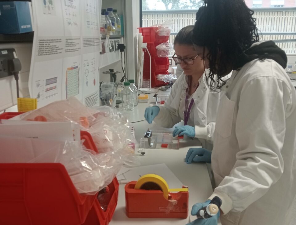 A student observing an experiment in the lab with researcher Kashmala Carys.